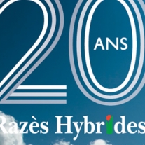 20 ans de Razès Hybrides avec  Arterris et KWS